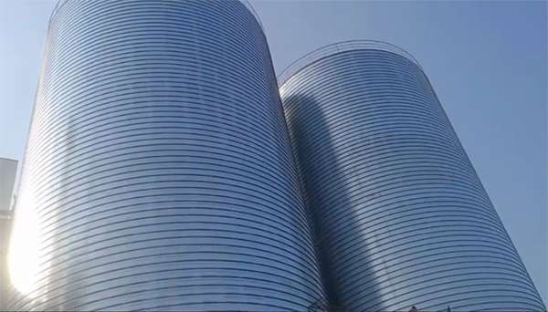 浦城2座混凝土高架卷板仓